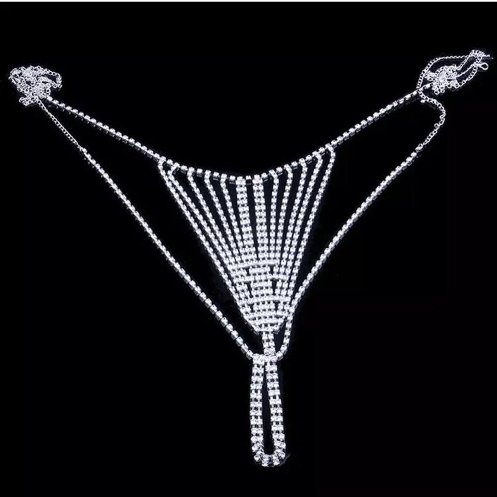 ⚜️[𝗡𝗪𝗧]⚜️Sexy Fancy Crystal Silver Panties NEW - Picture 9 of 10